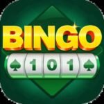 Bingo101