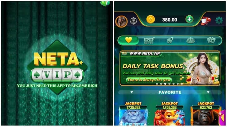 Neta VIP App Interface